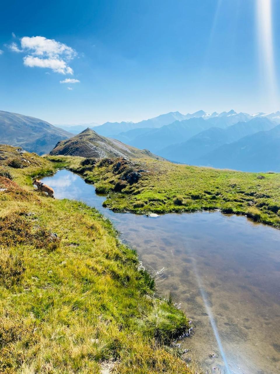 Appartement Mountain & Fun Saalbach-Hinterglemm Kültér fotó